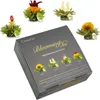 Creano 4 Teeblumen in edler Geschenkbox - Teelini weißer & Produktbild-Vorschau 1