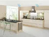 5.haut-parleur de plafond 5 pouces, haut-parleur encastré Voir les images du produit 13