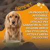 ARTIPET | Integratore Articolazioni Cane e Gatto, 120 Anteprima dell’immagine prodotto 3
