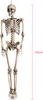 Grand squelette ossature Halloween 160 cm Deko Fruselage Voir les images du produit 7