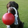Jolly Hundespielzeug Romp-n-Roll rot, Größe: S Produktbild-Vorschau 3