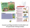 Kosmos 657802 Experimenteerdoos - Mimosen-tuin Productafbeelding-voorbeeld 14
