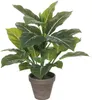 Mica Decorations Evergreen Kunstpflanze - H49 x Ø40 cm - Produktbild-Vorschau 1