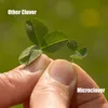 Microclover Rasensamen 200 g für 100 m² – Reines Produktbild-Vorschau 9
