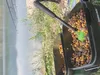 Carp Food Mix Pellet /10 kg Fruit&Sweet Náhled obrázku produktu 2