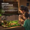Terrarium dla gadów D40-015V02, pojemnik na pokarm dla Podgląd zdjęcia produktu 9