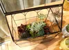 Handgefertigtes terrarium in Hausform mit schwingendem Produktbild-Vorschau 3