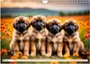 Leonberger - der zahme Löwe (Wandkalender 2026 DIN A4 Produktbild-Vorschau 8