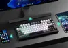 Tastiera da gioco magnetica AULA F75 HE, grigia, nera e Anteprima dell’immagine prodotto 4