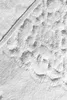 Mijolnir, Elite - Ecru, Badematten, Mehrfarbig, Baumwolle, Produktbild-Vorschau 2
