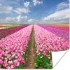 MuchoWow® Poster Tulpen - Sonne - Frühling 75x75 cm - Wand Produktbild-Vorschau 1
