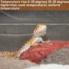 Terrarium-Heizmatte, 20 W verstellbare Produktbild-Vorschau 6