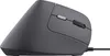 TRUST Trust Bayo II Maus Rechtshänder USB Typ-A 2400 DPI Produktbild-Vorschau 7