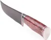 Usbekischer Messer – Pchak, 30 cm Hülsenstahl Kochmesser Produktbild-Vorschau 6