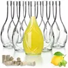 A group of clear glass bottles, one filled with yellow liquid, and several corks and a lemon with mint leaves. Voir les images du produit