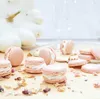 Lebensmittelfarbe in Pulverform Rosa Pastell 5 g - Produktbild-Vorschau 2