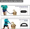 Edipets, Joggingleine Hunde, Freihändig, Laufen, Wandern, Produktbild-Vorschau 5