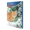 TRIXIE PREMIO Adventskalender für Katzen, 24,5 × 37 × 3,5 Náhľad obrázku produktu 17