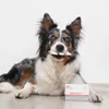 Vet Expert BioProtect 60 capsules. Probiotisch supplement Productafbeelding-voorbeeld 6