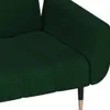 vidaXL Schlafsofa 2-Sitzer mit 2 Kissen Dunkelgrün Samt Produktbild-Vorschau 12