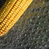 Luftpolsterfolie Breite 100cm x Länge 50m Noppenfolie Produktbild-Vorschau 4