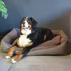 4L Textil TEO Hundekorb mittelgroße Hunde Kuscheliges Produktbild-Vorschau 3