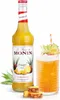 Monin Ananas Sirup Vol. 0.7L Produktbild-Vorschau 4