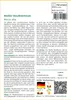 SAFLAX - Weißer Maulbeerbaum - 200 Samen - Morus alba Produktbild-Vorschau 3