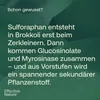Sulforaphan - Hochdosierter natürlicher Brokkoliextrakt, Produktbild-Vorschau 5
