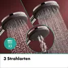 hansgrohe Raindance Alive Select S Handbrause 125 3 Produktbild-Vorschau 3