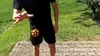 Sunflex x Waboba Ball Moon schwarz-orange | Wasserball Produktbild-Vorschau 2