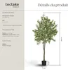 Olivier artificiel OLEAND à l'aspect naturel - 180 cm Voir les images du produit 6