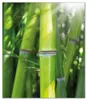 Wallario Herdabdeckplatte aus Glas, Größe 52 x 60 cm Produktbild-Vorschau 1