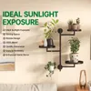 Fenster drehende Pflanze Stand Regal Indoor schwarz Produktbild-Vorschau 6