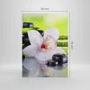 Bild auf Leinwand - Leinwandbild - Einteilig - blume Produktbild-Vorschau 3