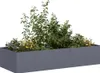 A long, rectangular planter filled with various plants and flowers, set against a white background. Anteprima dell’immagine prodotto