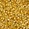A close-up, top-down view of a pile of popcorn kernels. Náhľad obrázku produktu
