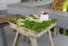 Wallario selbstklebende Möbelfolie/ Tischdecke für Innen Produktbild-Vorschau 2
