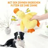 Hundespielzeug Plüsch mit Quietscher, robust und Produktbild-Vorschau 3