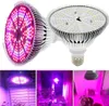 300W LED Pflanzenlampe E27, Vollspektrum Pflanzenlicht mit Produktbild-Vorschau 5