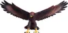 Mojo Eagle Podgląd zdjęcia produktu 5