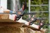 BESSEY EZL60-8, F-Klammer, Kunststoff, Stahl, 1 Stück(e), Produktbild-Vorschau 21