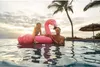 Schwimmring Flamingo, Aufblasbar, 142x137x97 cm, Mit Produktbild-Vorschau 2