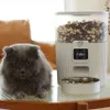 Futterautomat für Katze mit Zeitschaltuhr, automatischer Produktbild-Vorschau 7