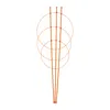 Set da 6 supporti per rampicanti Relaxdays, metallo e Anteprima dell’immagine prodotto 6