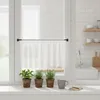A window with a curtain and plants on the windowsill. Produktbild-Vorschau