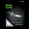 Metal Earth Praying Mantis, Bausatz, Metall Produktbild-Vorschau 14