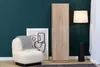 A narrow wardrobe is placed next to a chair and a floor lamp in a room with teal walls. Náhled obrázku produktu