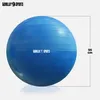 A blue exercise ball with the brand logo and size indicated. Náhľad obrázku produktu