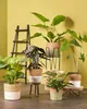 Mica Decorations Pia Table d'appoint en tronc d'arbre - H14 Voir les images du produit 6